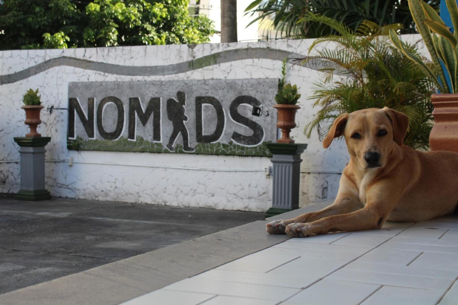 Nomads Hostel Multicultural & Coworking Salvador Exterior photo