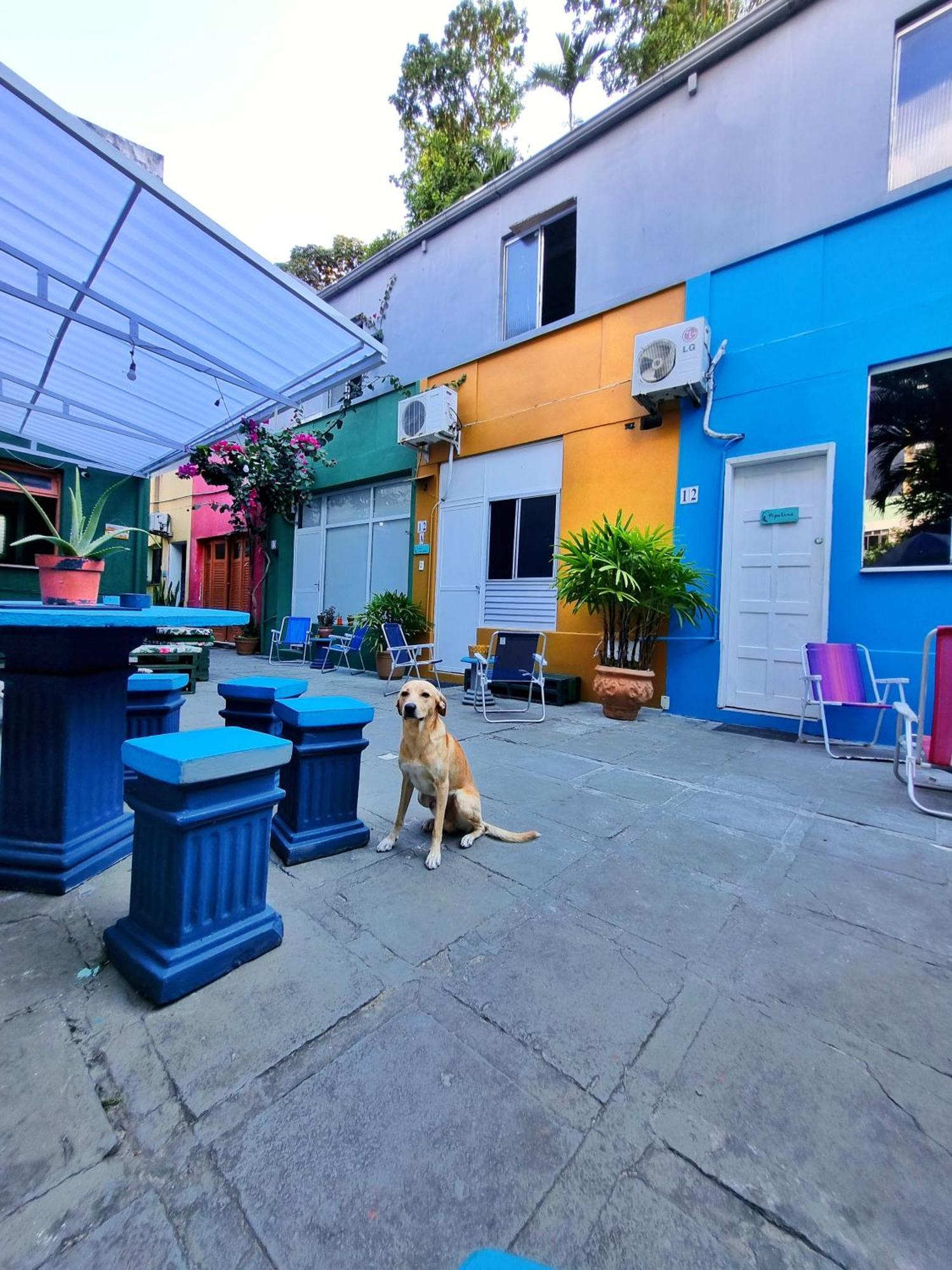Nomads Hostel Multicultural & Coworking Salvador Exterior photo